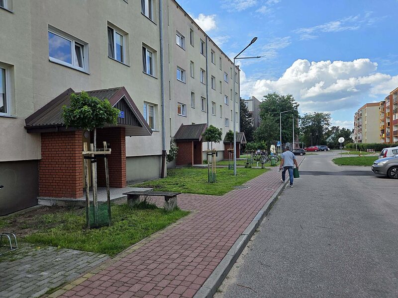 Nowe nasadzenia
